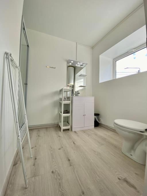 105 Studio Immeuble Perseverance Conflans-en-Jarnisy Экстерьер фото