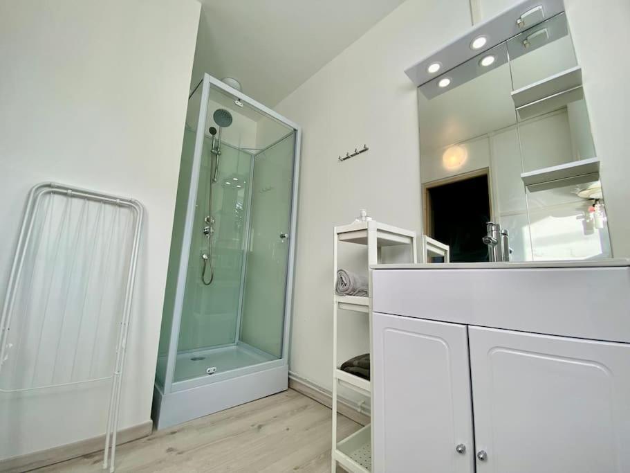 105 Studio Immeuble Perseverance Conflans-en-Jarnisy Экстерьер фото
